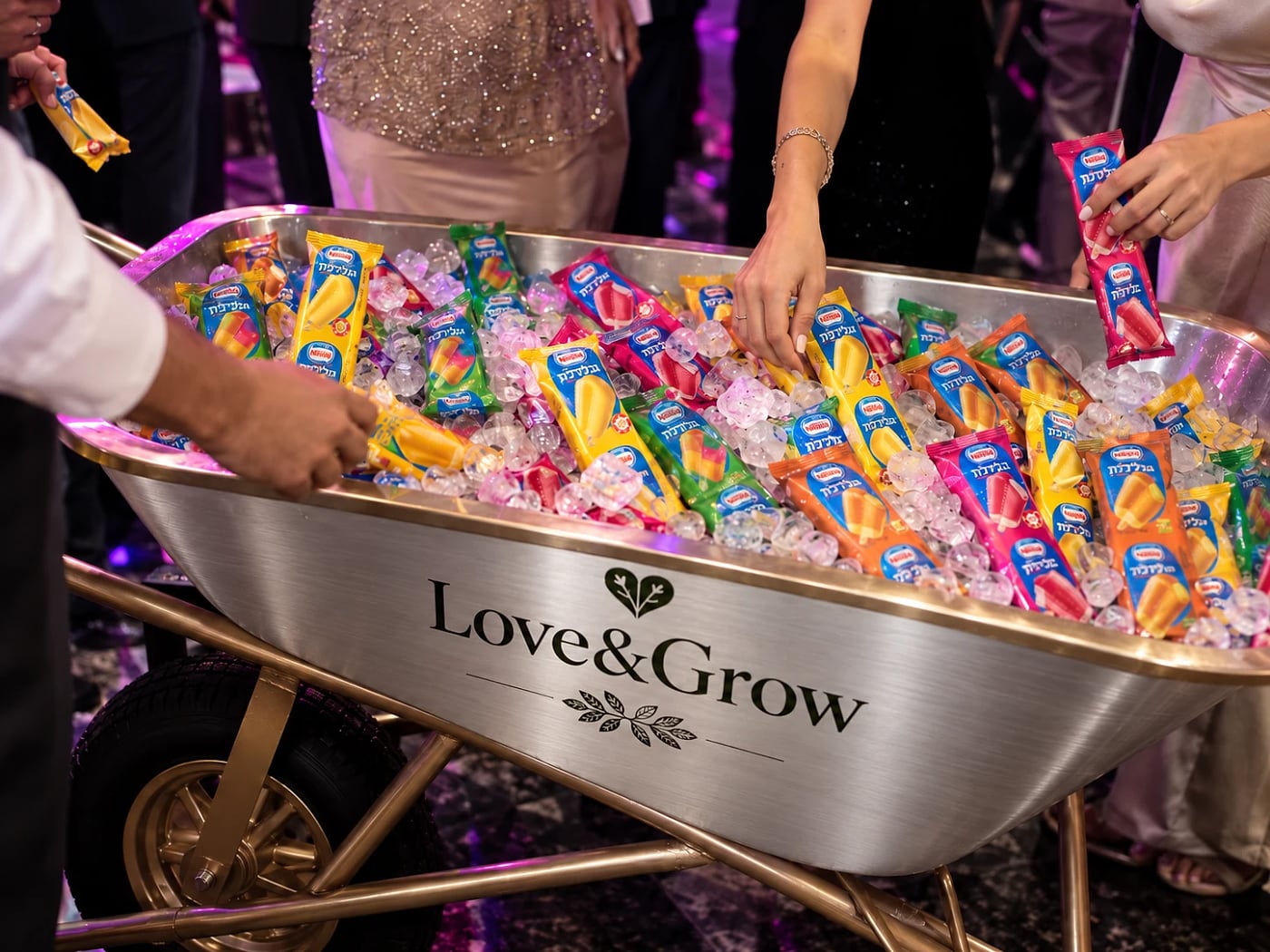 מריצת Love&Grow מלאה בקרח וארטיקים ברחבת הריקודים, ואורחים לוקחים ממנה